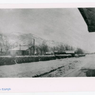 Print, Photographic