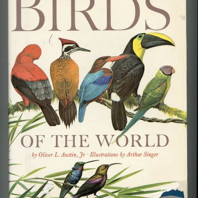 Birds of the World