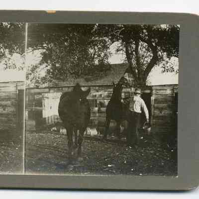 Stereograph