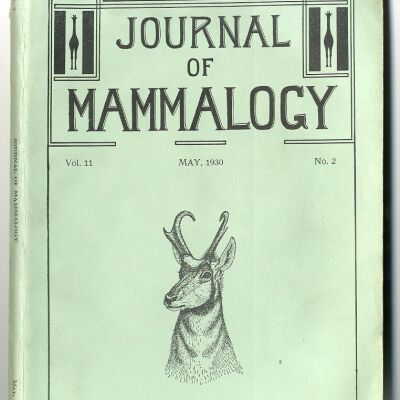 Journal of Mammalogy, Vol. 11, No. 2, May 1930