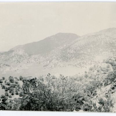 Print, Photographic