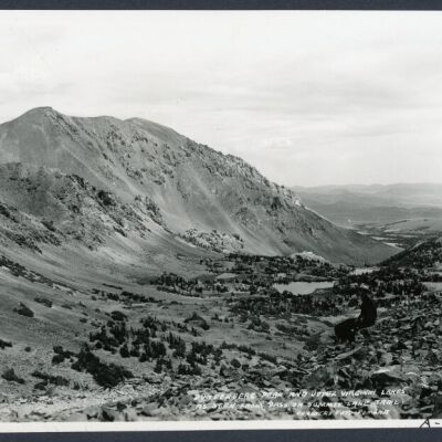 Print, Photographic
