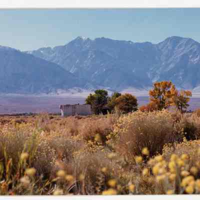 Print, Photographic