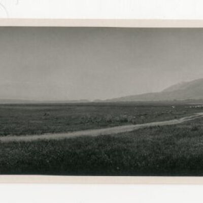 Print, Photographic