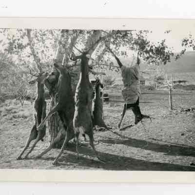 Print, Photographic