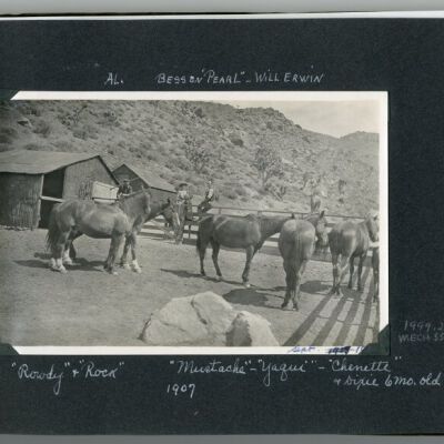 Print, Photographic
