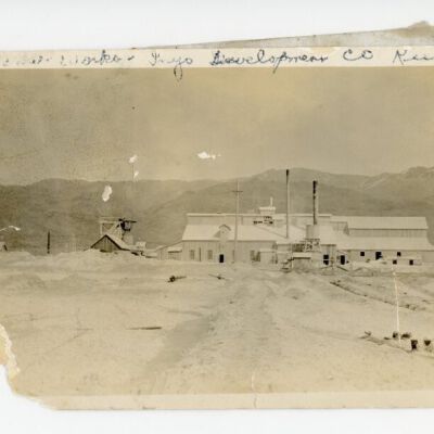 Print, Photographic