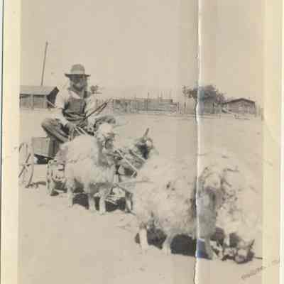 Print, Photographic