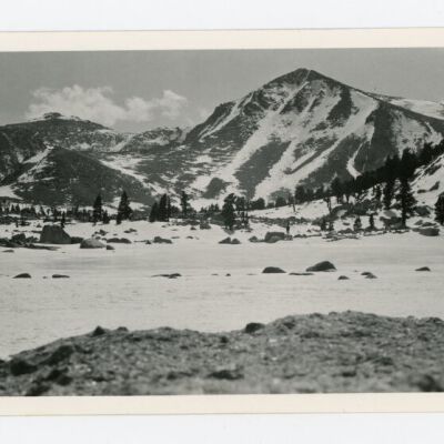 Print, Photographic