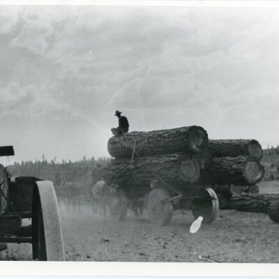 Print, Photographic