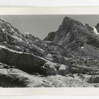 Print, Photographic
