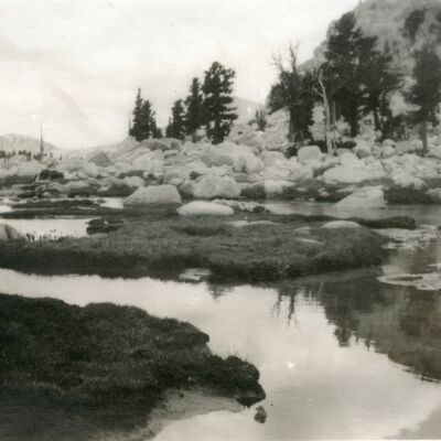 Print, Photographic