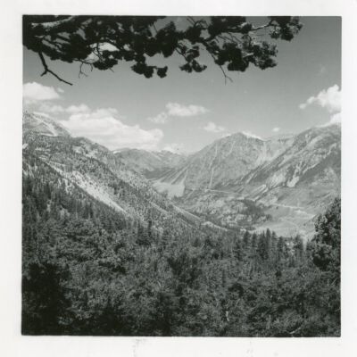 Print, Photographic