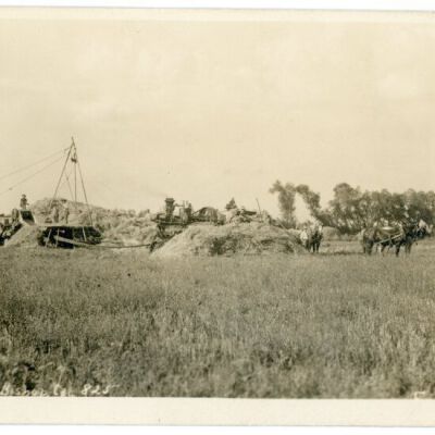 Threshing, Bishop, Cal.