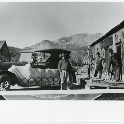 Print, Photographic