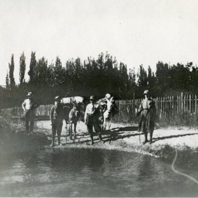 Print, Photographic