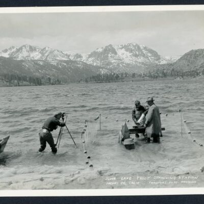 Print, Photographic