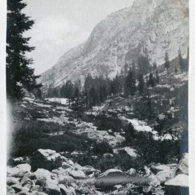 Print, Photographic