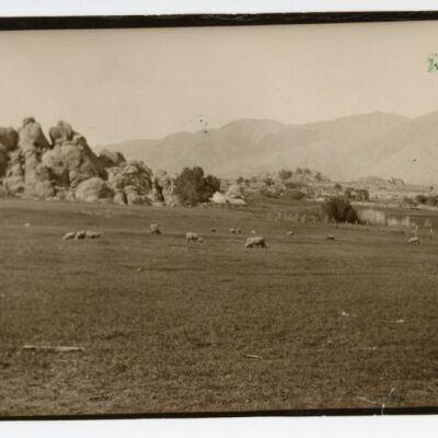 Print, Photographic
