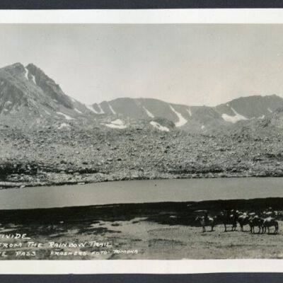 Print, Photographic