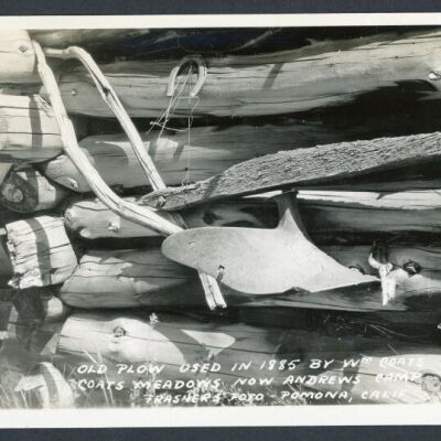 Print, Photographic