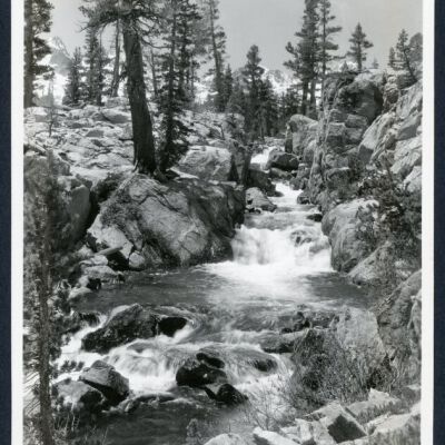 Print, Photographic