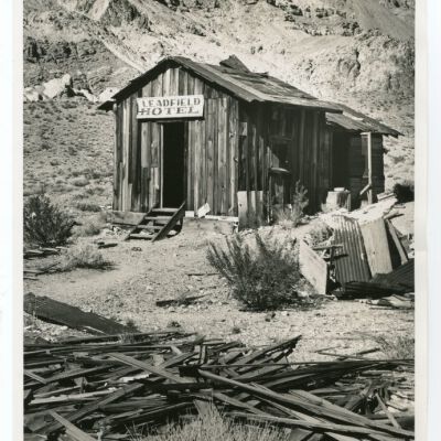 Print, Photographic