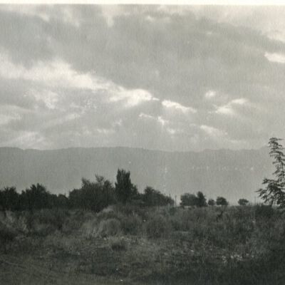 Print, Photographic