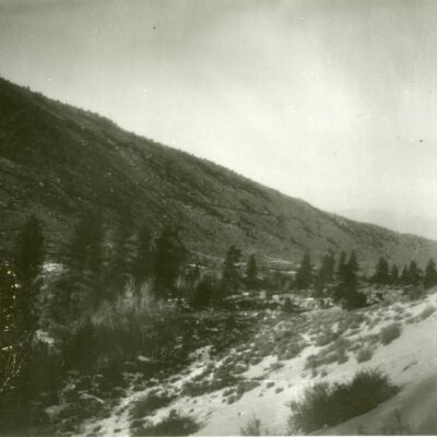 Print, Photographic