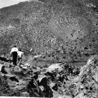 Print, Photographic