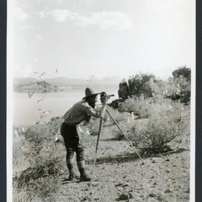 Print, Photographic