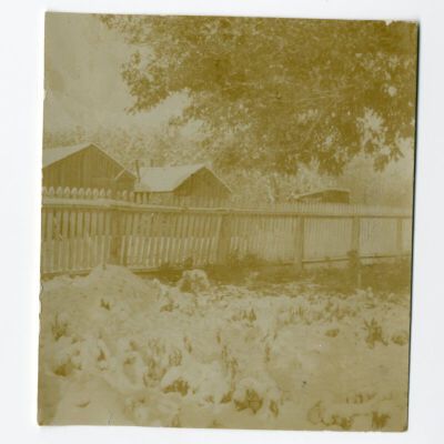 Print, Photographic