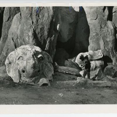 Print, Photographic