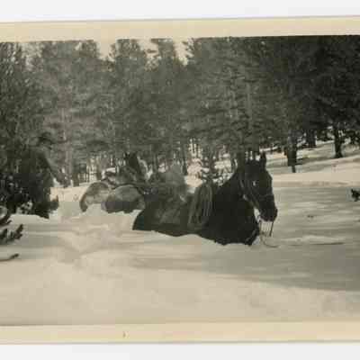 Print, Photographic