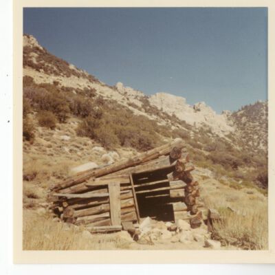 Print, Photographic