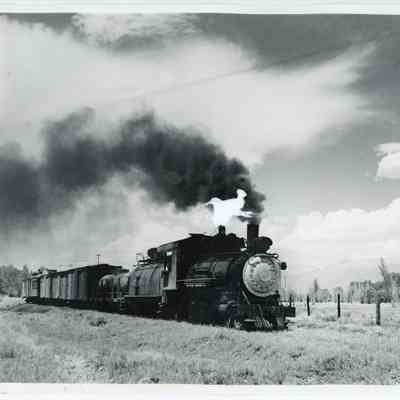 Print, Photographic