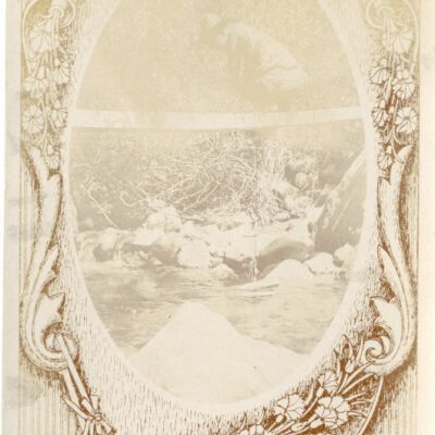 Print, Photographic