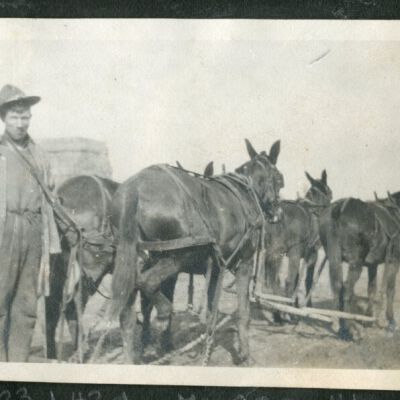 Print, Photographic