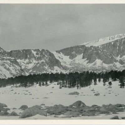 Print, Photographic