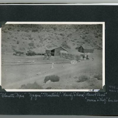 Print, Photographic
