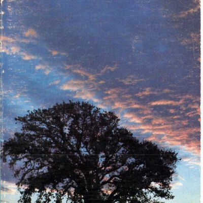 The Pacific Historian, Vol. 23, No. 3, Fall 1979