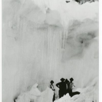 Print, Photographic