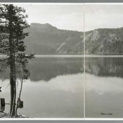 Print, Photographic