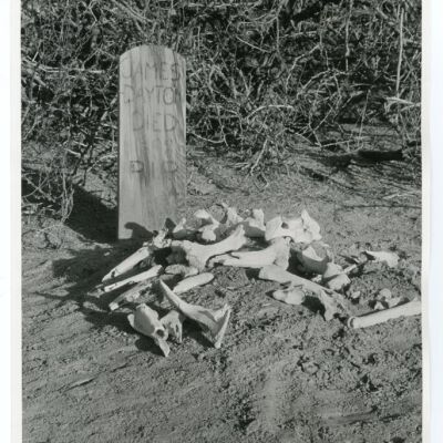 Print, Photographic