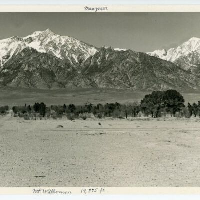 Print, Photographic