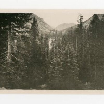 Print, Photographic