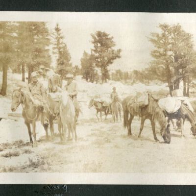 Print, Photographic