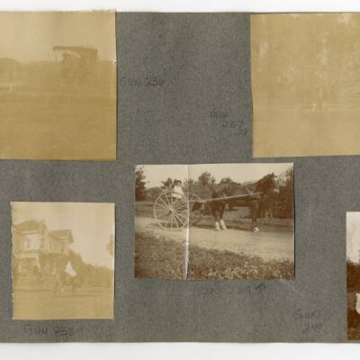 Print, Photographic