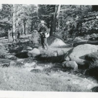 Print, Photographic