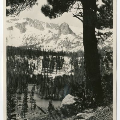 Print, Photographic